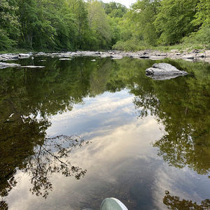 Meet your Posher, Annie